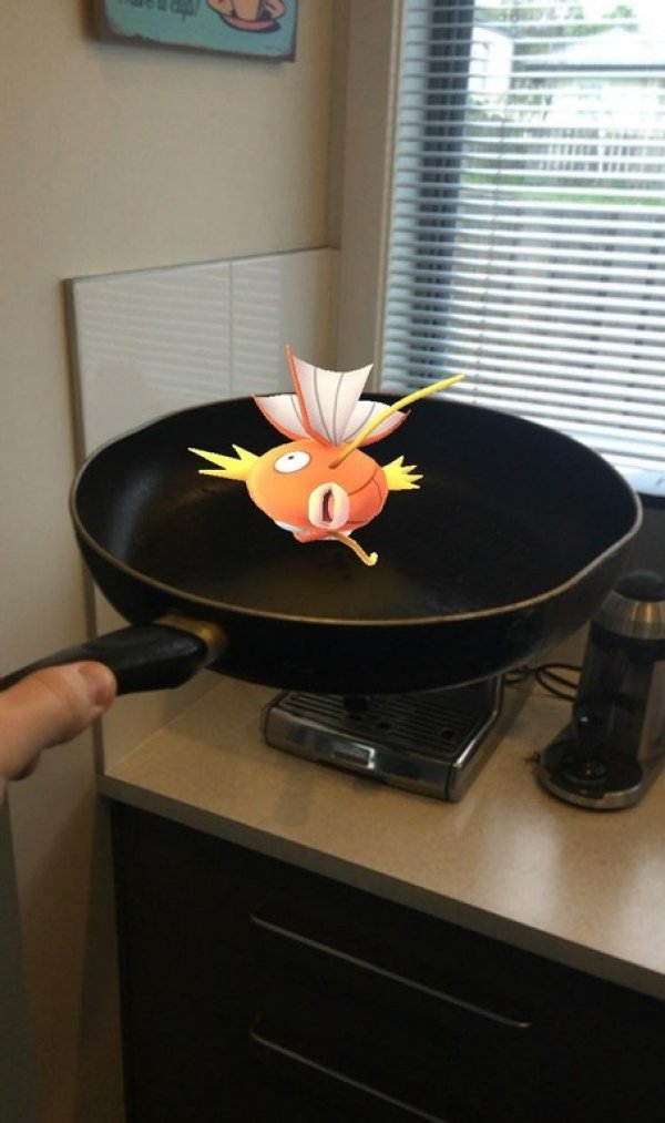 Más divertido-pokemon-go-memes-17