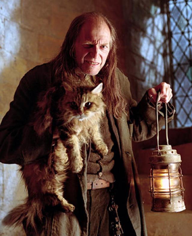Grandes actores Who-Harry-Potter-Game-throw -05