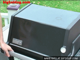 Infomercial-gif-05