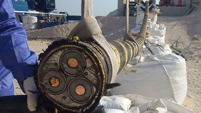14 Objetos inusuales imágenes increíblemente geniales que se cortan en el medio del medio | Bayas cerebrales
