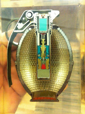 mesmerizing_pictures_of_things_cut_in_half_08