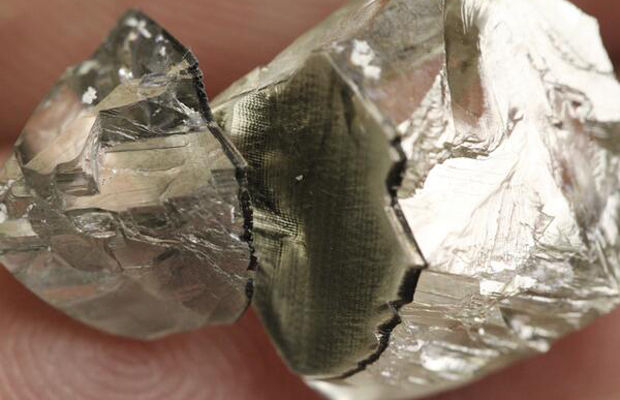 mesmerizing_pictures_of_things_cut_in_half_17