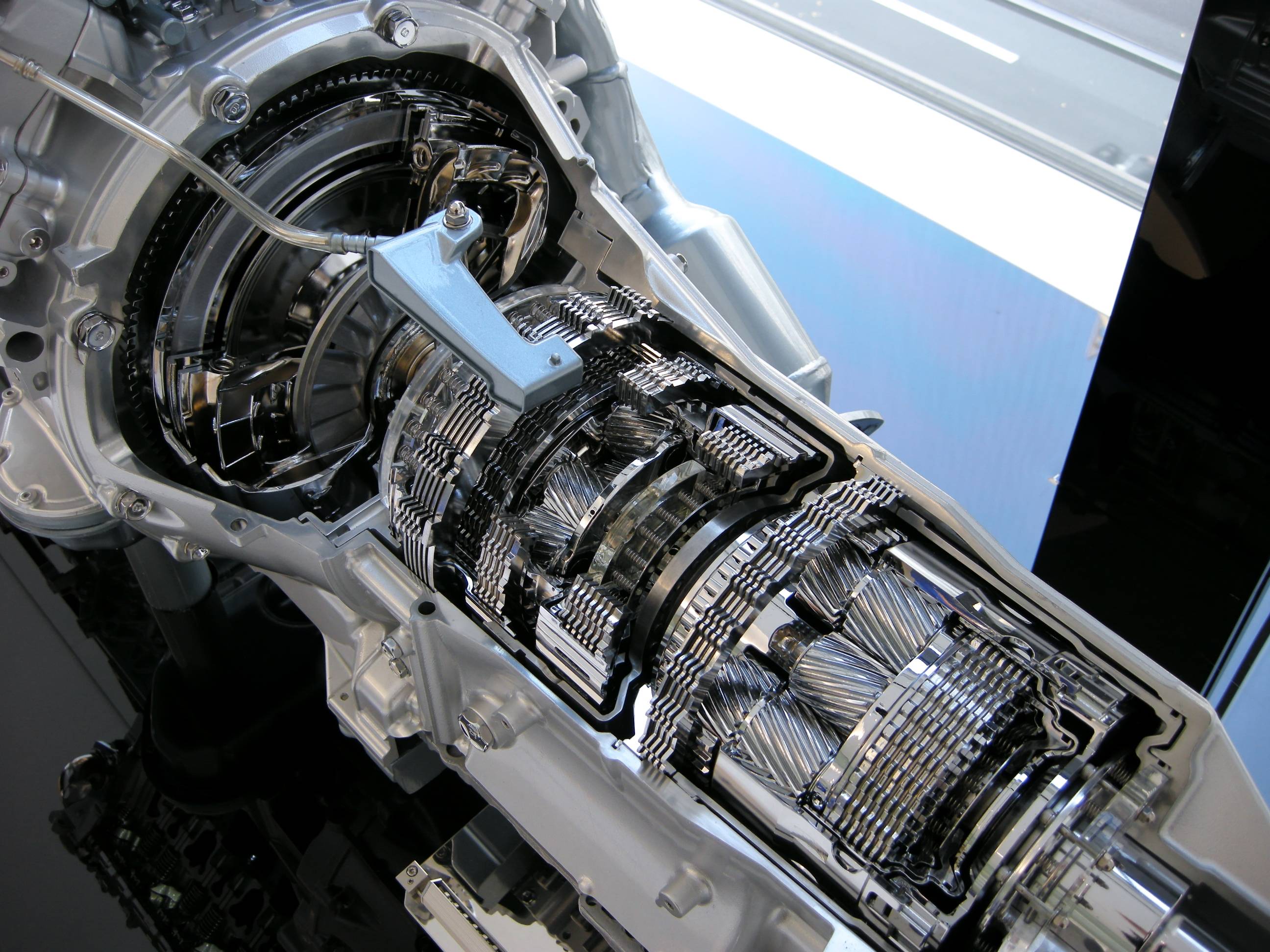mesmerizing_pictures_of_things_cut_in_half_23