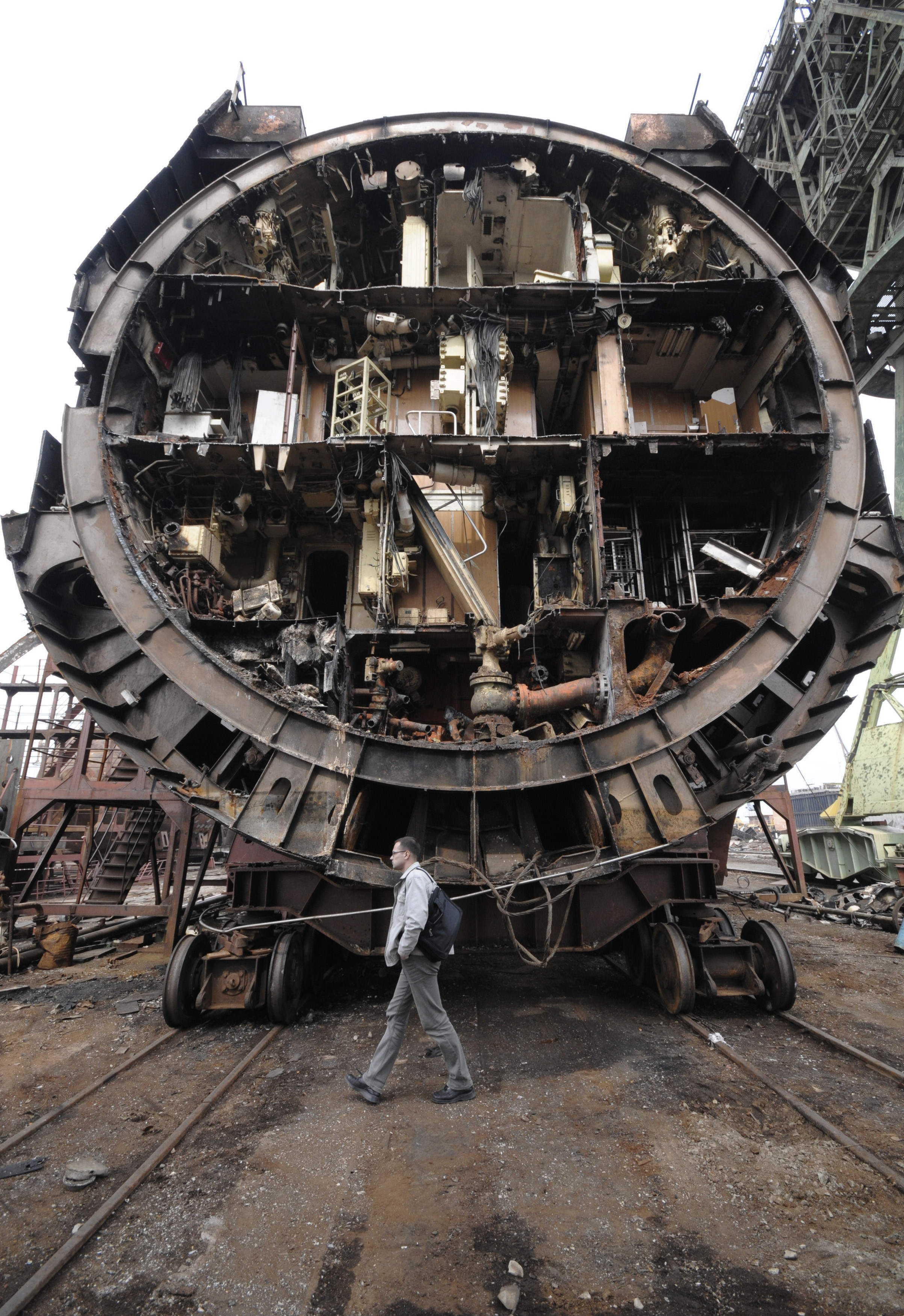 mesmerizing_pictures_of_things_cut_in_half_27