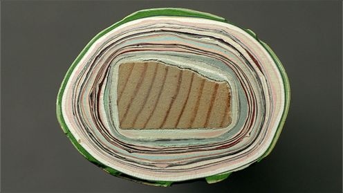 mesmerizing_pictures_of_things_cut_in_half_28