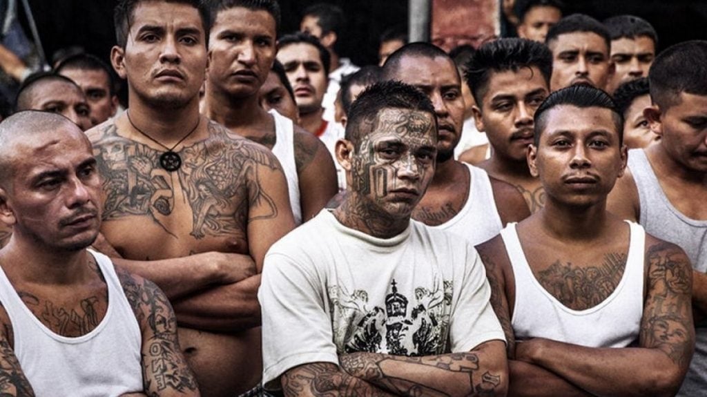 Carteles mexicanos | 7 El crimen más grande y popular del mundo | Bayas cerebrales