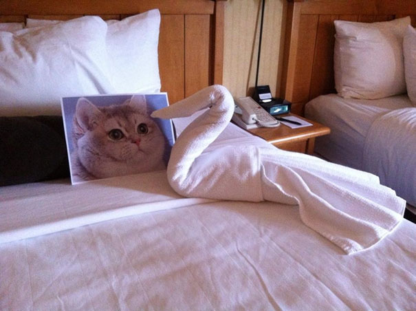 Muchos requirimientos extraños-hotel.