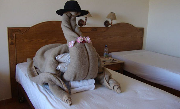 Muchos requirimientos extraños-hotel.