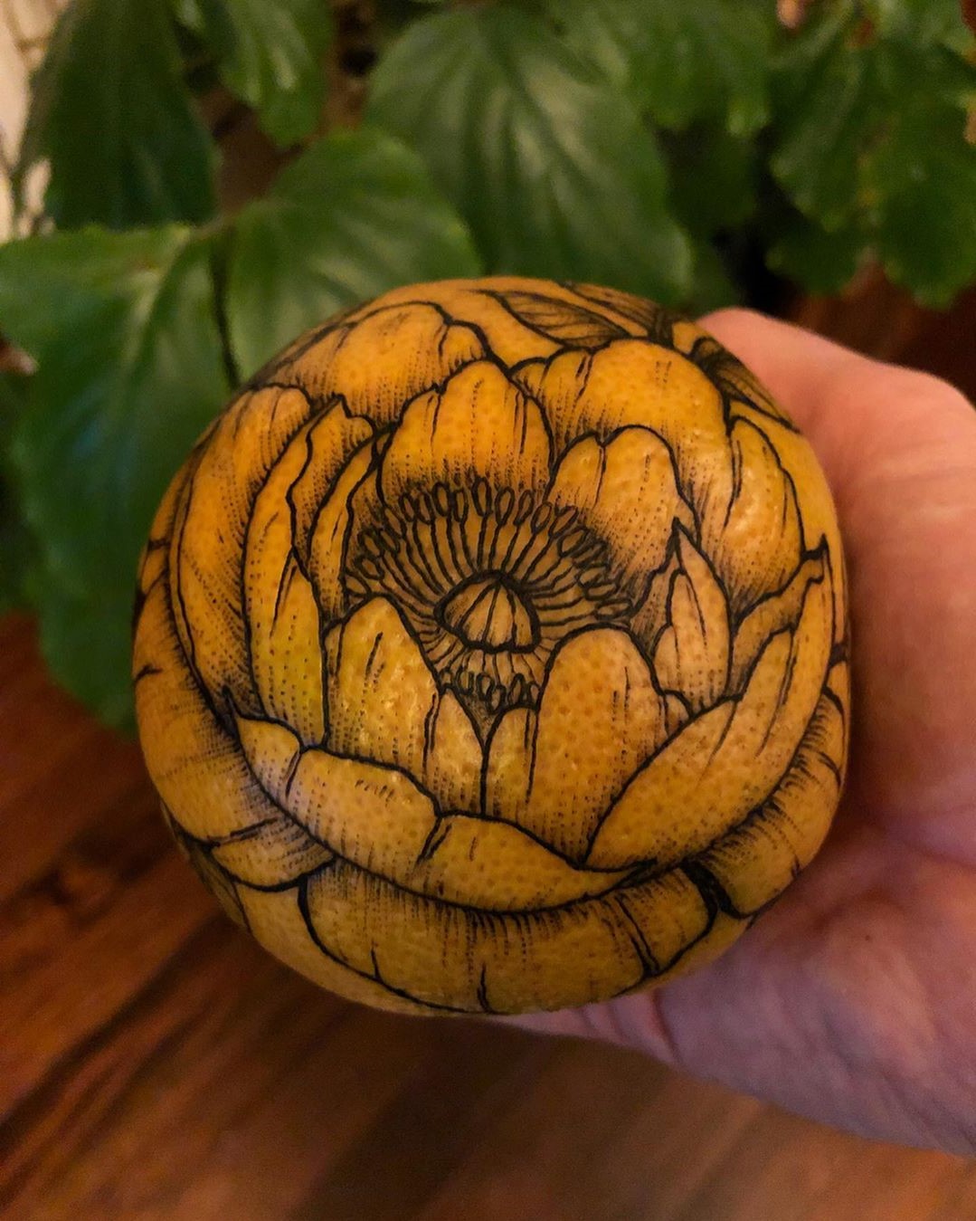 # 2 | Las naranjas de las naranjas una nueva tendencia del tatuaje. | Bayas cerebrales