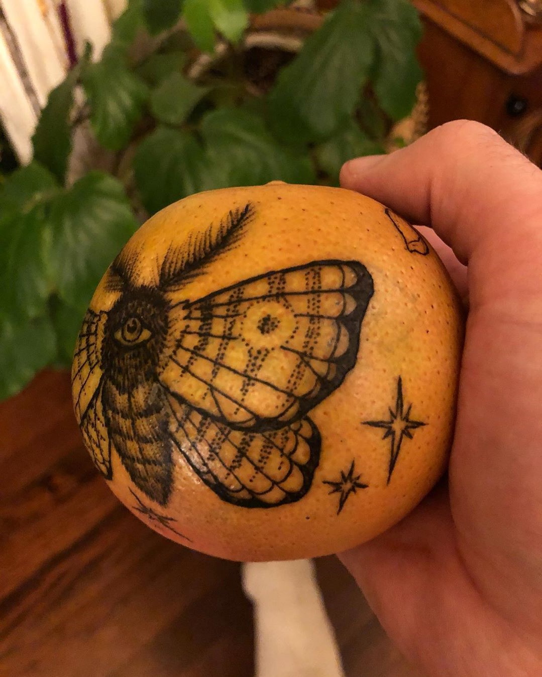 # 4 | Las naranjas de las naranjas una nueva tendencia del tatuaje. | Bayas cerebrales