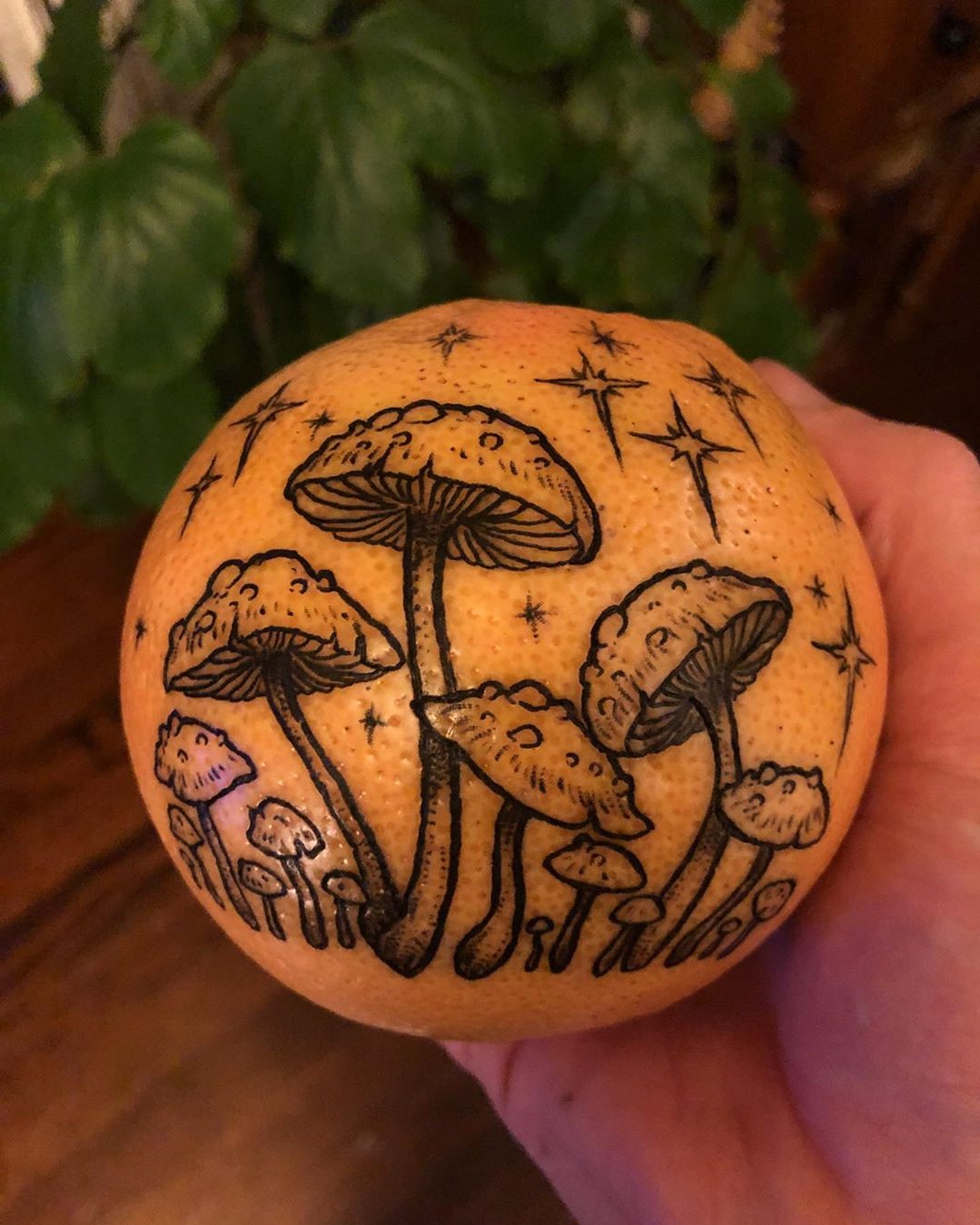 # 6 | Las naranjas de las naranjas una nueva tendencia del tatuaje. | Bayas cerebrales