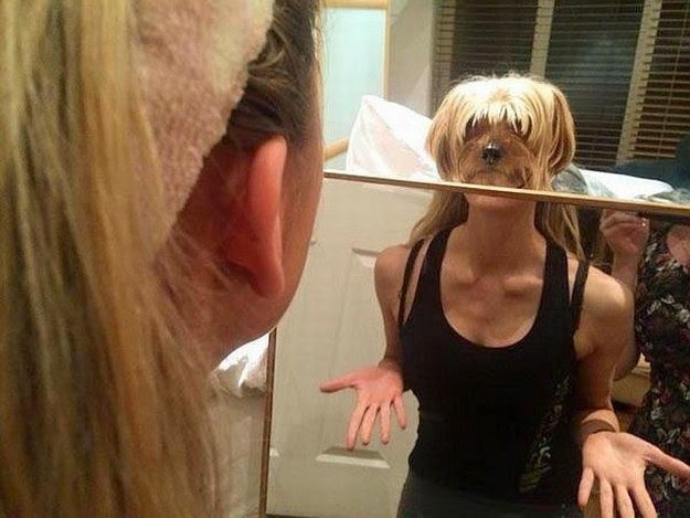 Fotos tomadas-just-right-corner -17