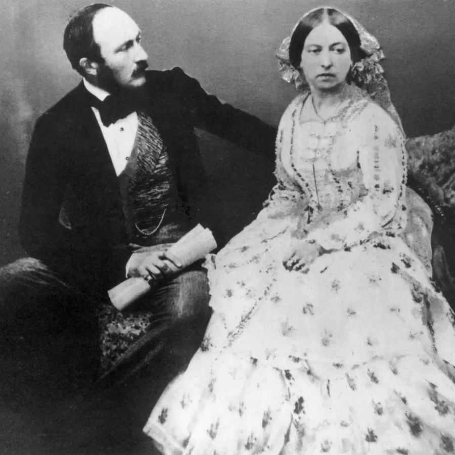 Reina de Victoria y Príncipe Albert | Cerebro