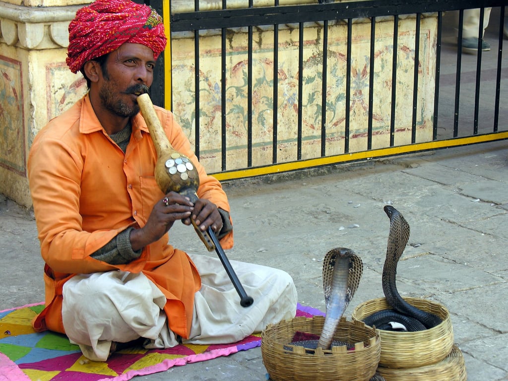 Funny_Sest Eeotypes_About_india_08