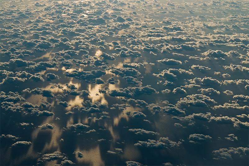 El-7-jaw-snumping-nube-fingation-15