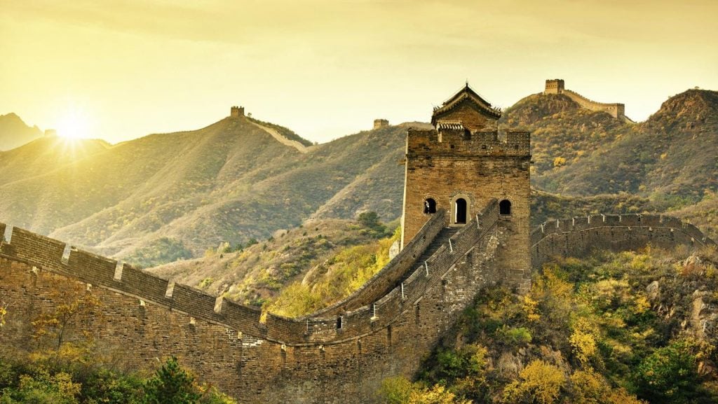     La pared cambia la flora local | ¿Cuál es el secreto del Gran Muro de China? | Bayas cerebrales