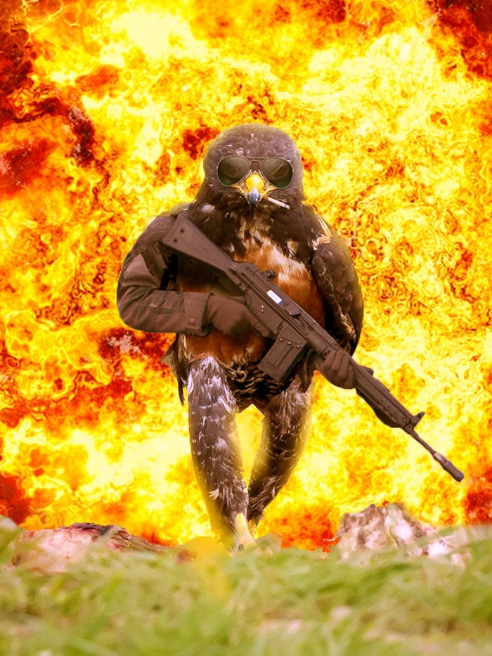 Este hawk-Photoshop-bate-es-Epic-04