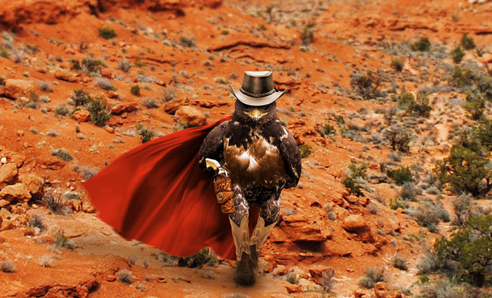 Este hawk-Photoshop-bate-es-Epic-05