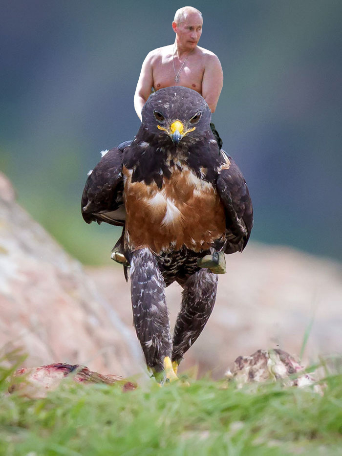 Este hawk-Photoshop-bate-es-Epic-07