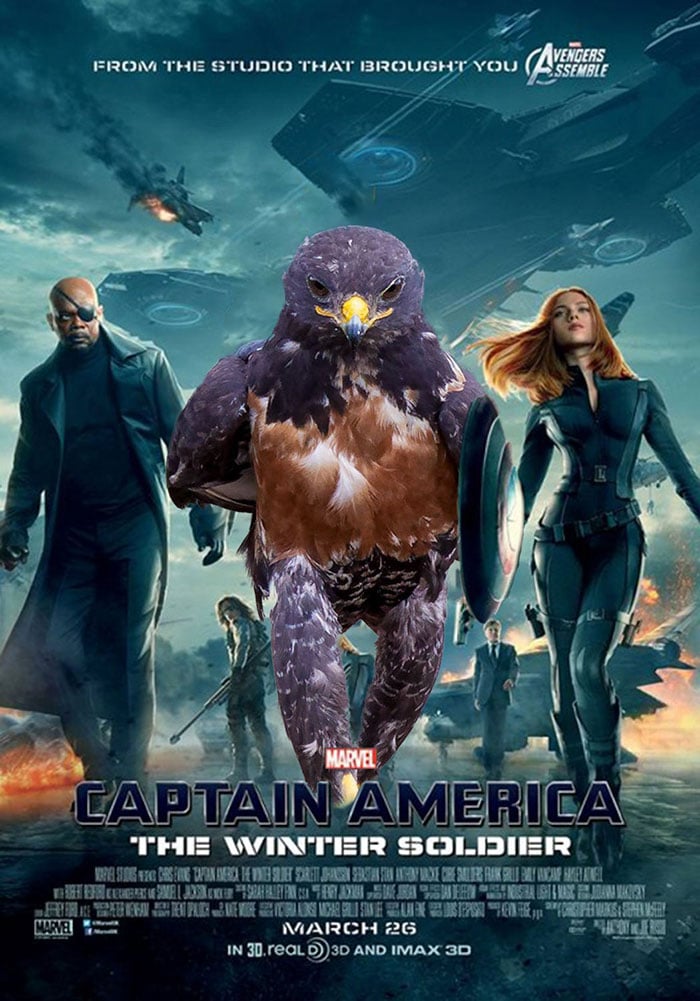 Este hawk-Photoshop-Battle-es-Epic-10