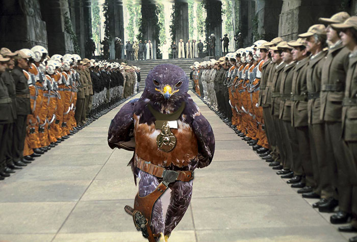 Este hawk-Photoshop-Battle-es-Epic-13