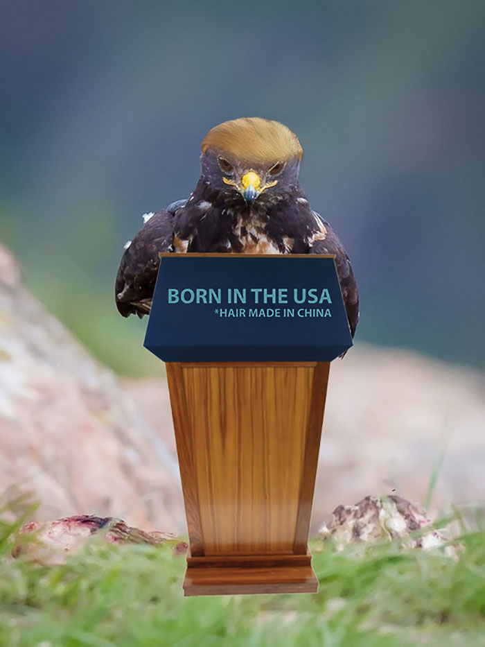 Este hawk-Photoshop-Battle-es-Epic-14