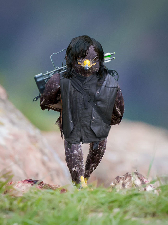 Este hawk-Photoshop-Battle-es-Epic-15