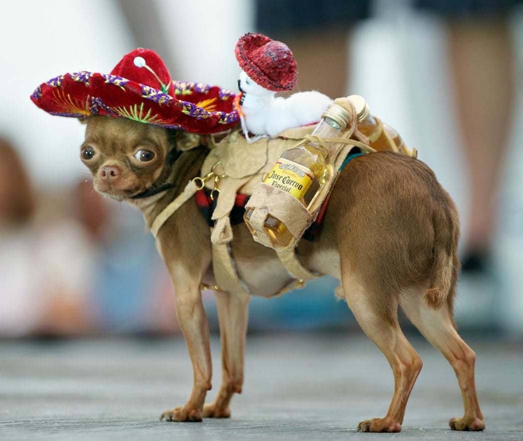 Top-8- Divertypes-Mexicans -07